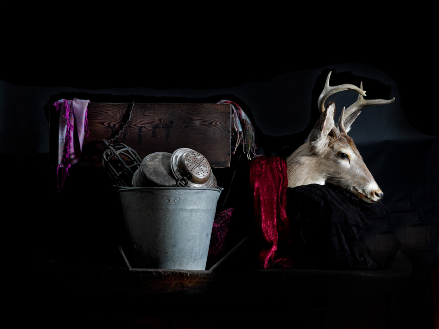 Untitled from "Life Science' Series Eran Gilat Fine art