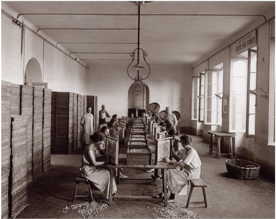 RADIUM DIAL Ninon Choplin