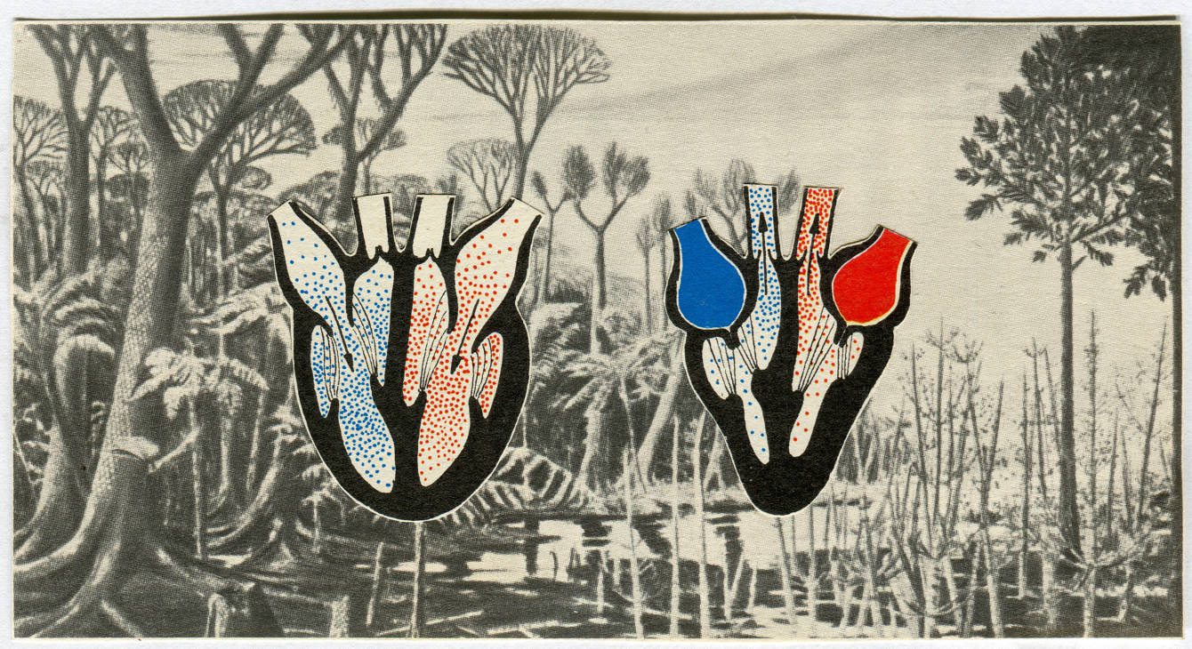 eco collage - kat hanula