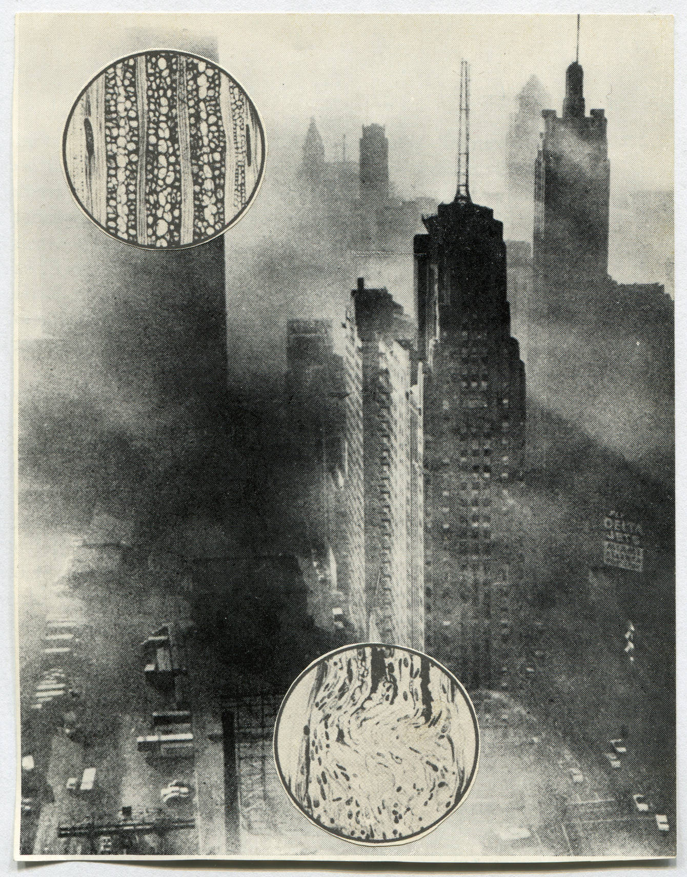 eco collage - kat hanula